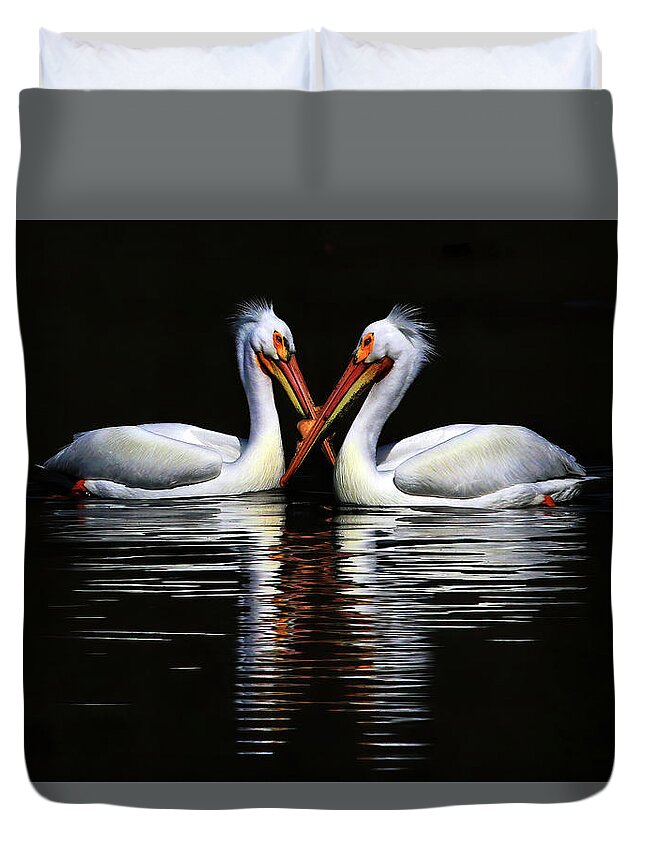 American White Pelican Duvet Cover featuring the photograph American White Pelicans by Shixing Wen