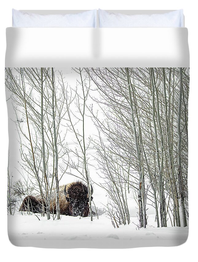 Bison Duvet Cover featuring the photograph Amongst The Quakies by Julie Argyle
