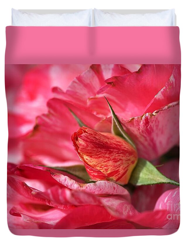 Joy Watson Duvet Cover featuring the photograph Amongst The Rose Petals by Joy Watson