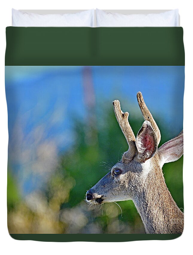 Deer Duvet Cover featuring the photograph An young Mule Deer by Amazing Action Photo Video