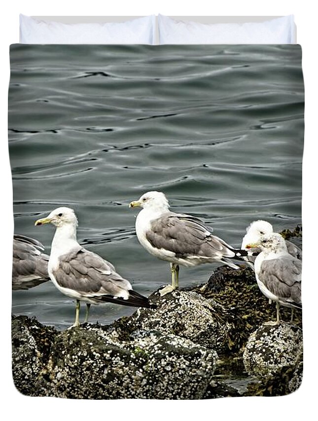 Coast Duvet Cover featuring the photograph And The Crowd Cheers by DADPhotography