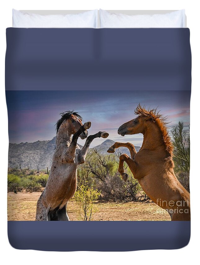 Salt River Wild Horses Sparring Duvet Cover featuring the digital art And The Dirt Is Flying by Tammy Keyes