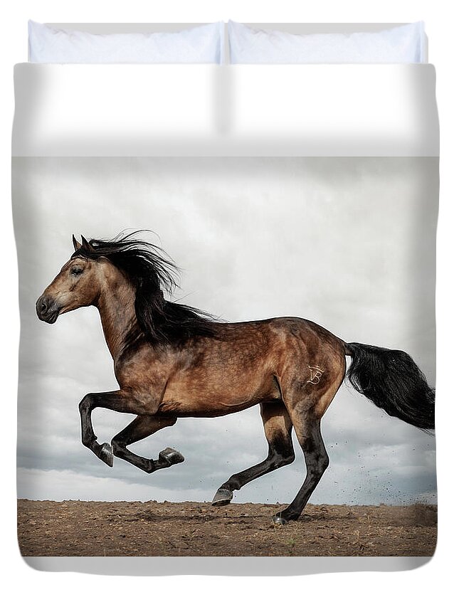 Andalusian Buckskin On The Ridge Duvet Cover featuring the photograph Andalusian Buckskin on the Ridge by Wes and Dotty Weber