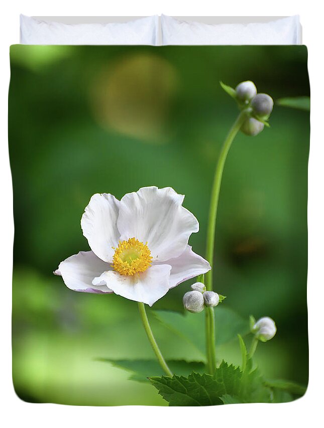 Flower Duvet Cover featuring the photograph Anemone in White by Kerri Farley