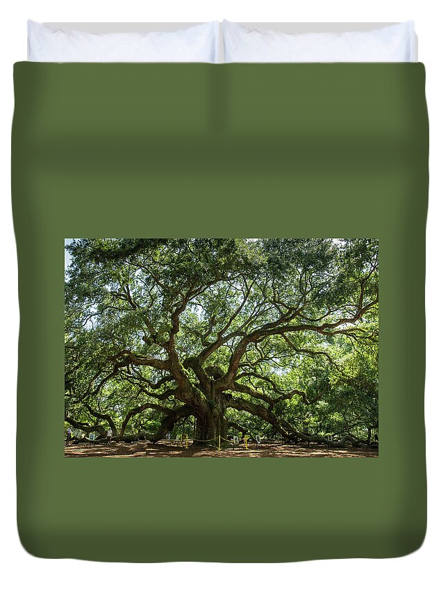 Landscape Duvet Cover featuring the photograph Angel Oak by Chris Berrier