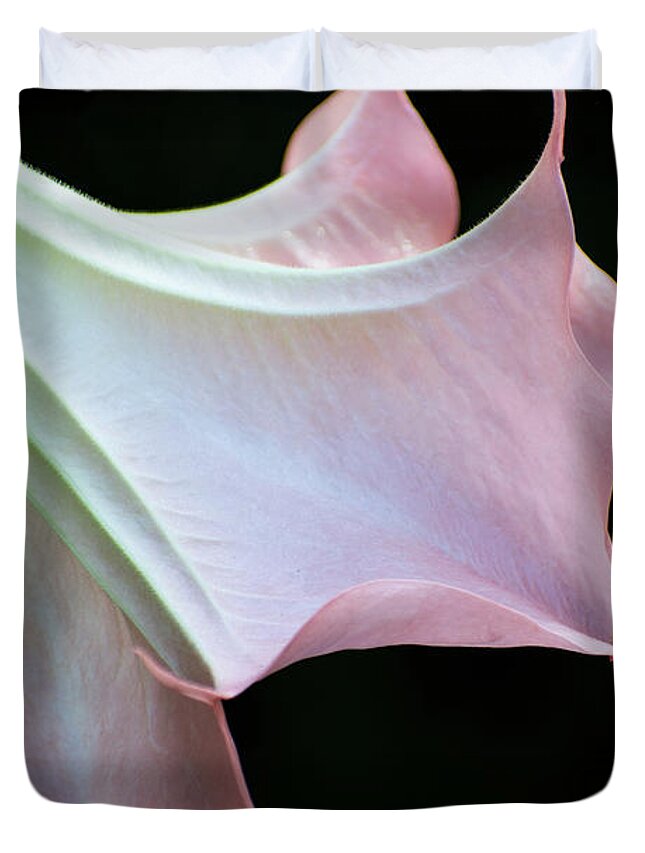 Angel's Trumpet Duvet Cover featuring the photograph Angel's Trumpet by Mary Ann Artz