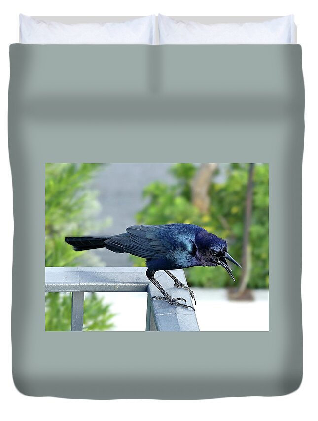 Boat-tailed Grackle Duvet Cover featuring the photograph Angry Grackle by Lyuba Filatova