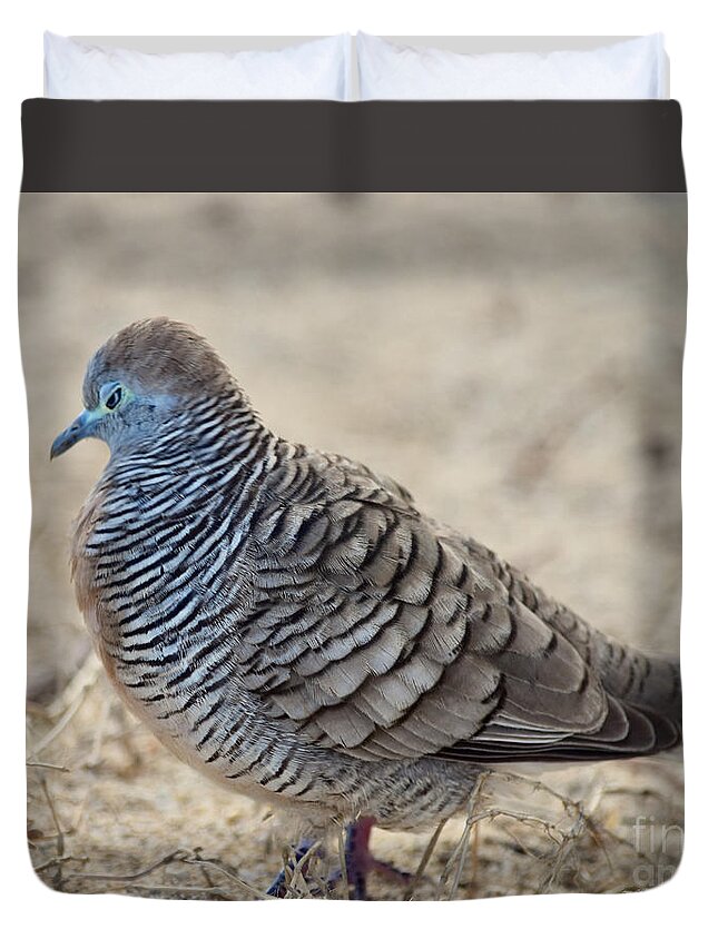 Zebra Dove Duvet Cover featuring the photograph Angry Zebra Dove by Debra Banks