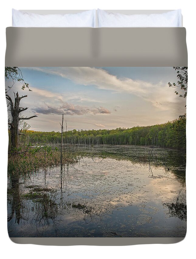 Wetlands Duvet Cover featuring the photograph Another Era by Angelo Marcialis