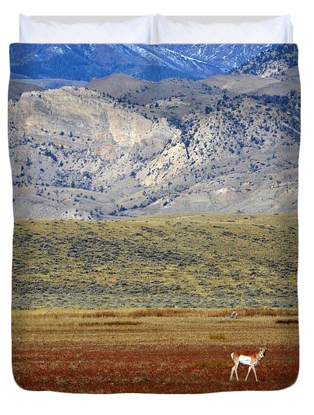 Western Art Duvet Cover featuring the photograph Antelope #2 by Alden White Ballard