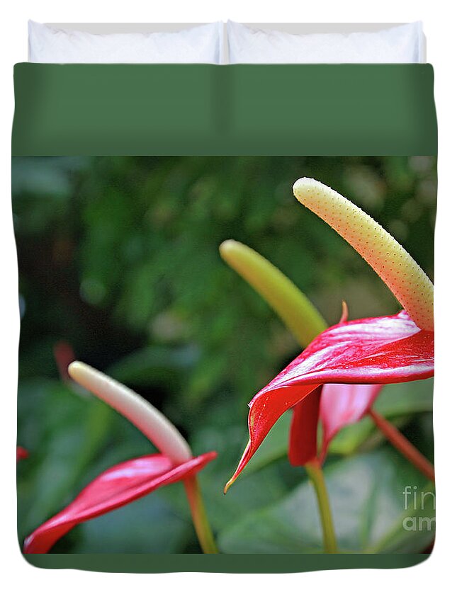 Flora Duvet Cover featuring the photograph Anthurium by Tom Watkins PVminer pixs