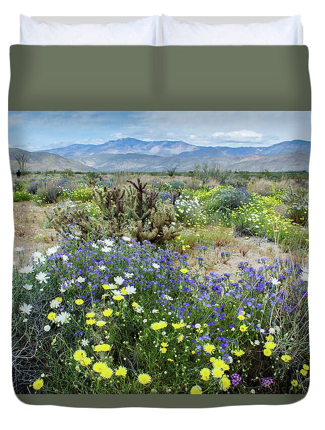 Desert Chicory Duvet Cover featuring the photograph Anza Borrego Desert State Park Bloom by Kyle Hanson
