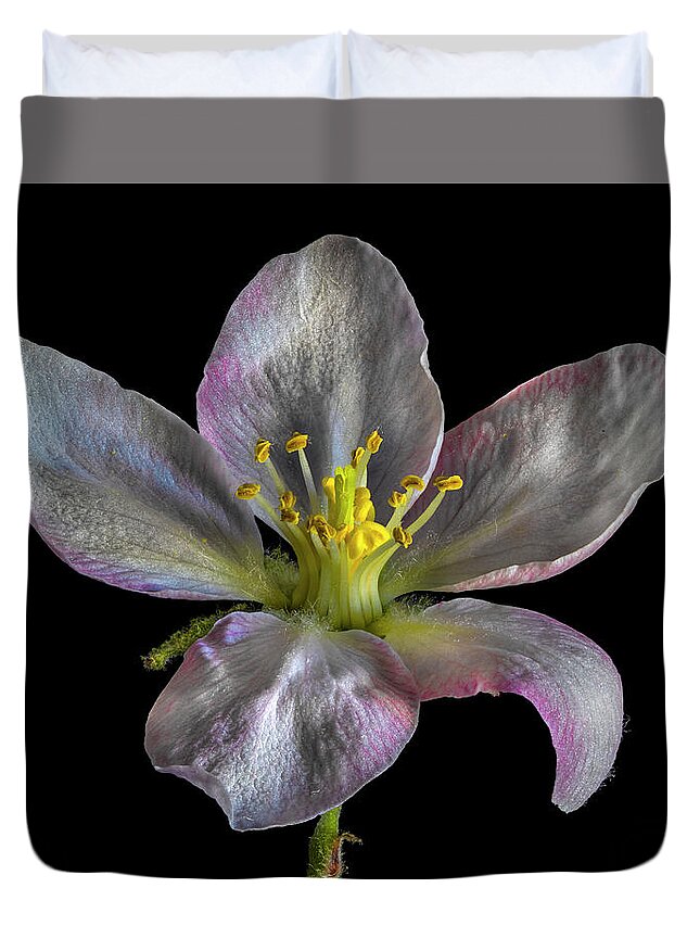 Apple Blossom Duvet Cover featuring the photograph Apple Blossom 1 by Endre Balogh