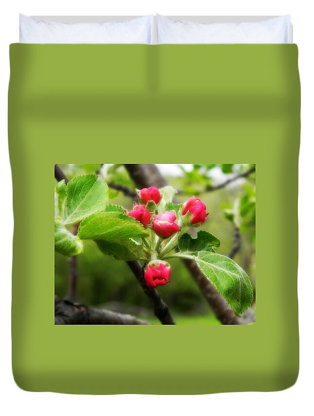 Apple Blossoms Duvet Cover featuring the photograph Apple Blossoms by Amanda R Wright