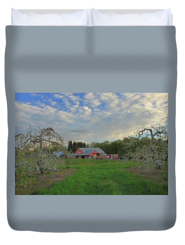 Orchard Duvet Cover featuring the photograph Apple Blossoms at Red Apple Farm by John Burk