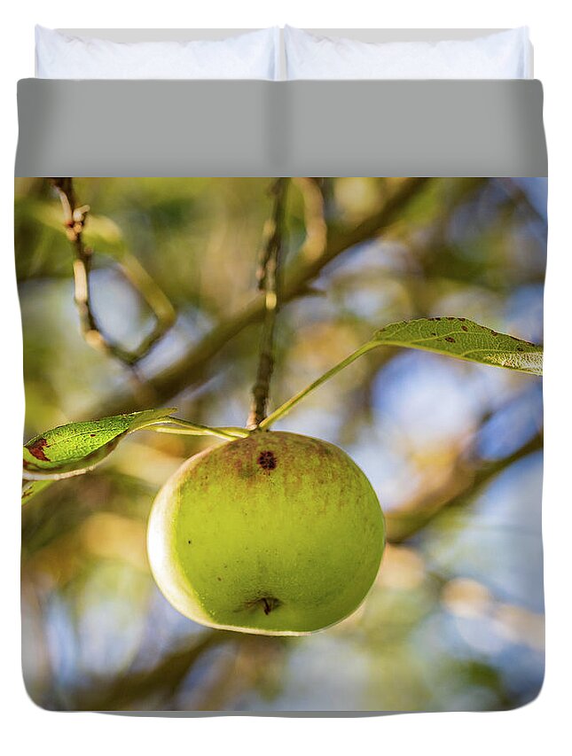 Nature Duvet Cover featuring the photograph Apple Tree Fall 2020 3 by Amelia Pearn