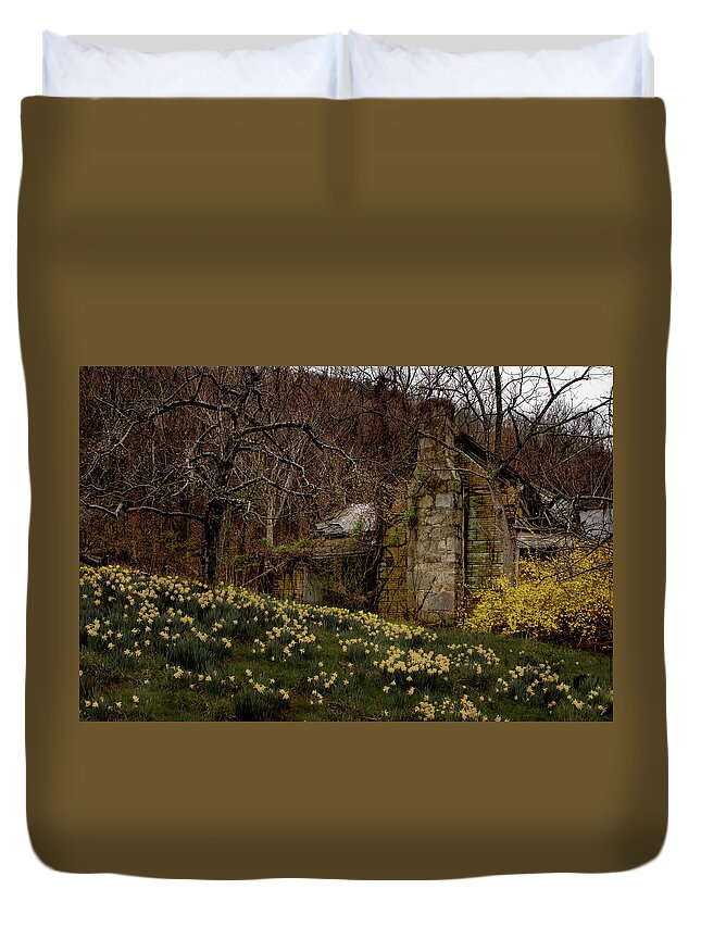 Apple Orchard Duvet Cover featuring the photograph Apple Valley Ruins by Norma Brandsberg