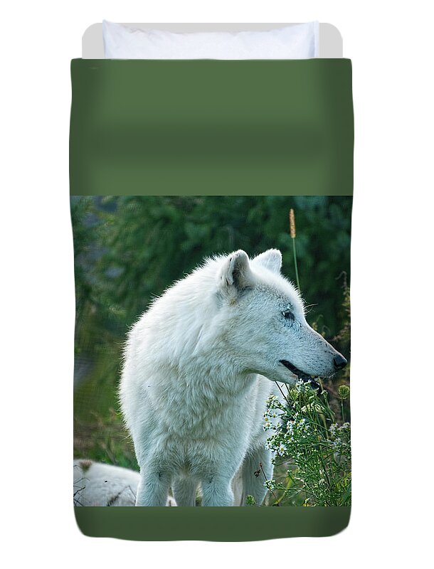 Arctic Duvet Cover featuring the photograph Arctic wolf on a meadow by Les Palenik