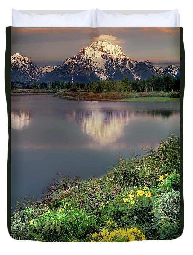 Dave Welling Duvet Cover featuring the photograph Arrowleaf Balsamrood Mount Moran Grand Tetons Np by Dave Welling