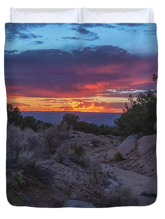 Landscape Duvet Cover featuring the photograph Arroyo Sunset by Seth Betterly