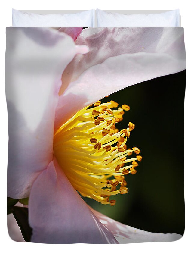 Ericales Duvet Cover featuring the photograph Camellia Her Side Profile by Joy Watson