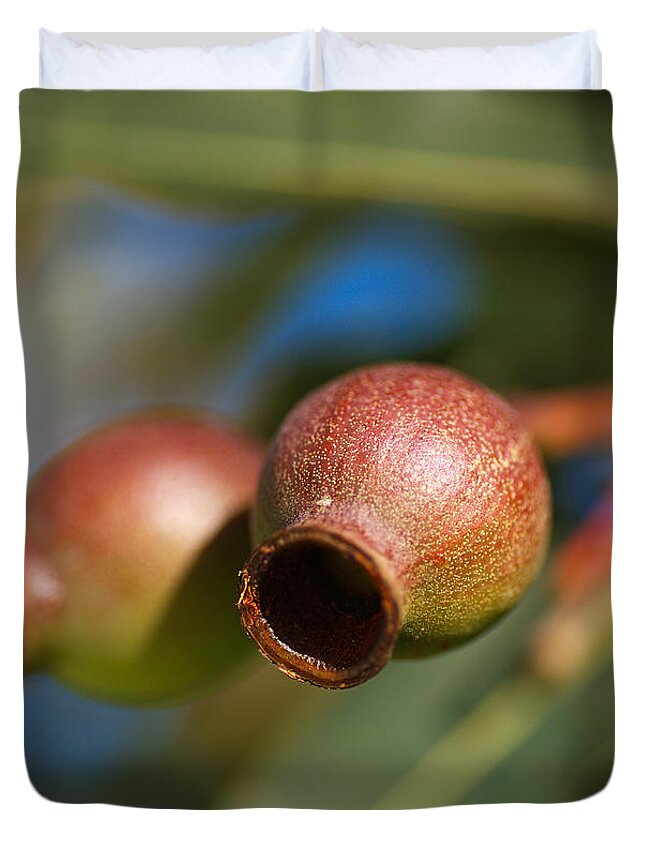 Corymbia Ficifolia Duvet Cover featuring the photograph Two Australian Gumnuts by Joy Watson