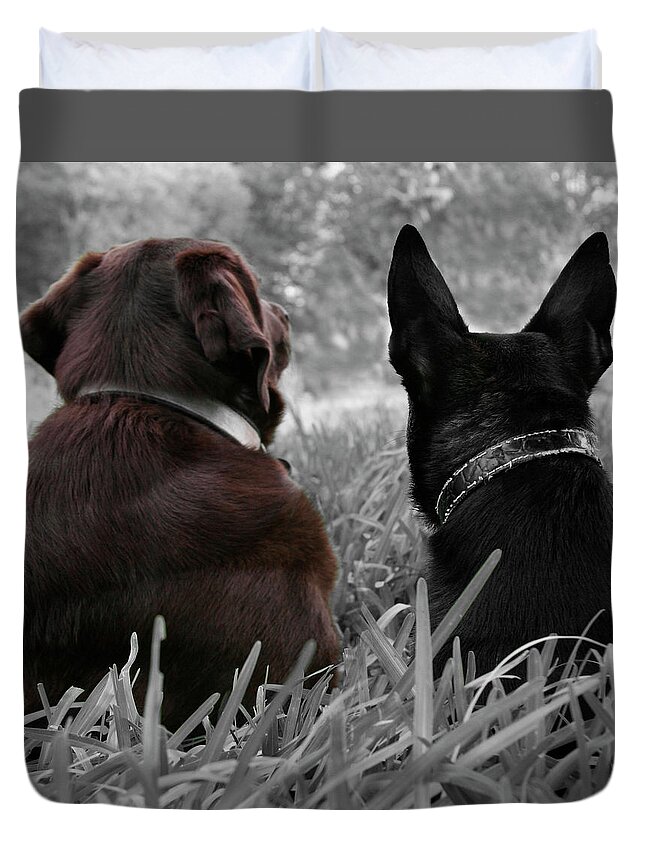 Dogs Duvet Cover featuring the photograph Always waiting for you by Renee Spade Photography