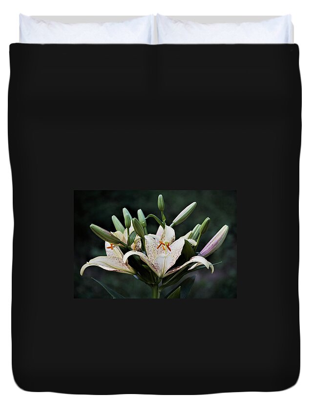 Lilies Duvet Cover featuring the photograph Asiatic Lily Blossoms and Buds by Nancy Ayanna Wyatt