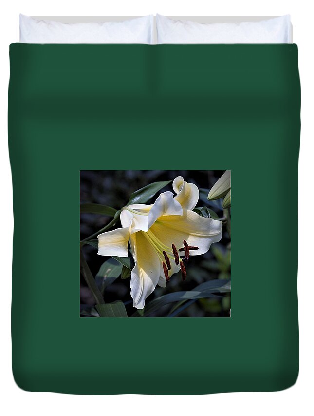 Asiatic Lily Duvet Cover featuring the photograph Asiatic Lily by Nancy Ayanna Wyatt
