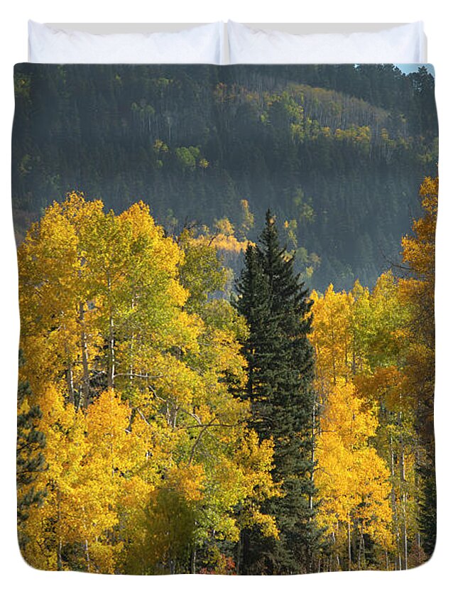 Aspen Duvet Cover featuring the photograph Aspen near Pagosa Springs-2 by Mark Langford