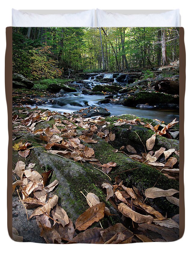 Vaughan Woods Duvet Cover featuring the photograph At the Vaughan Woods 4 by Dimitry Papkov