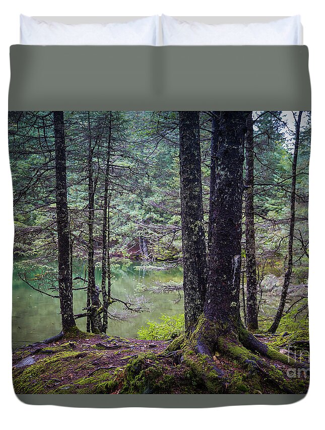 Woods Duvet Cover featuring the photograph At Two Lakes Trail by Eva Lechner