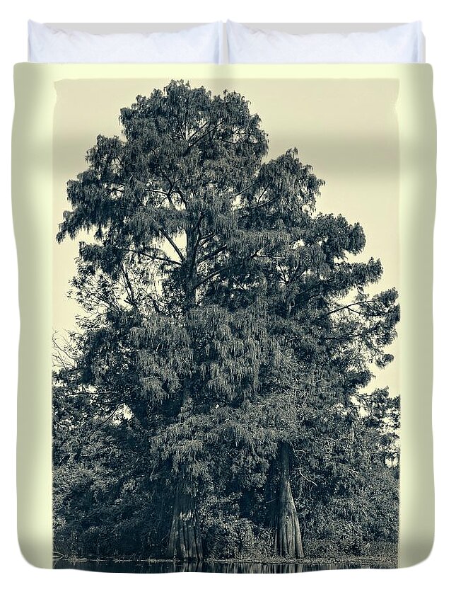 Tree Duvet Cover featuring the photograph Atchafalaya Basin Southern Louisiana 2021 Ambrotype 93 by Maggy Marsh