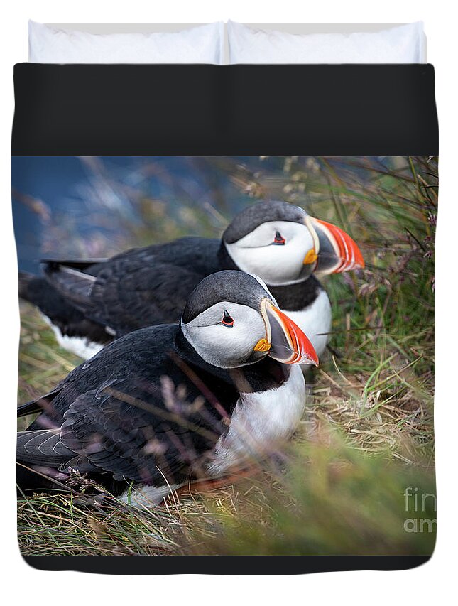 Photography Duvet Cover featuring the photograph Atlantic Puffin Love by Erin Marie Davis