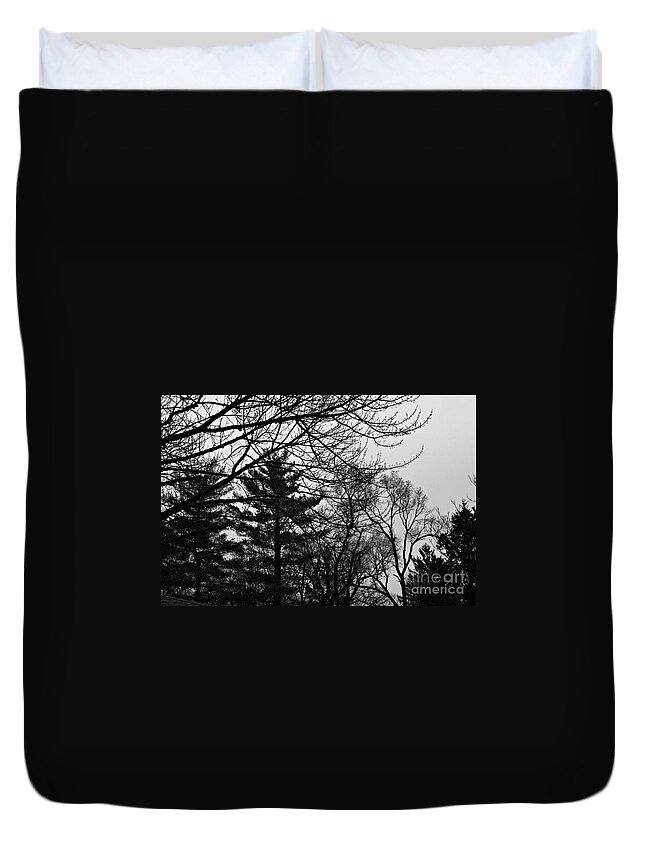 Landscape Duvet Cover featuring the photograph Authentic Expression - Black and White by Frank J Casella