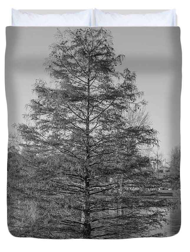 4763 Duvet Cover featuring the photograph Autmn Tree by FineArtRoyal Joshua Mimbs