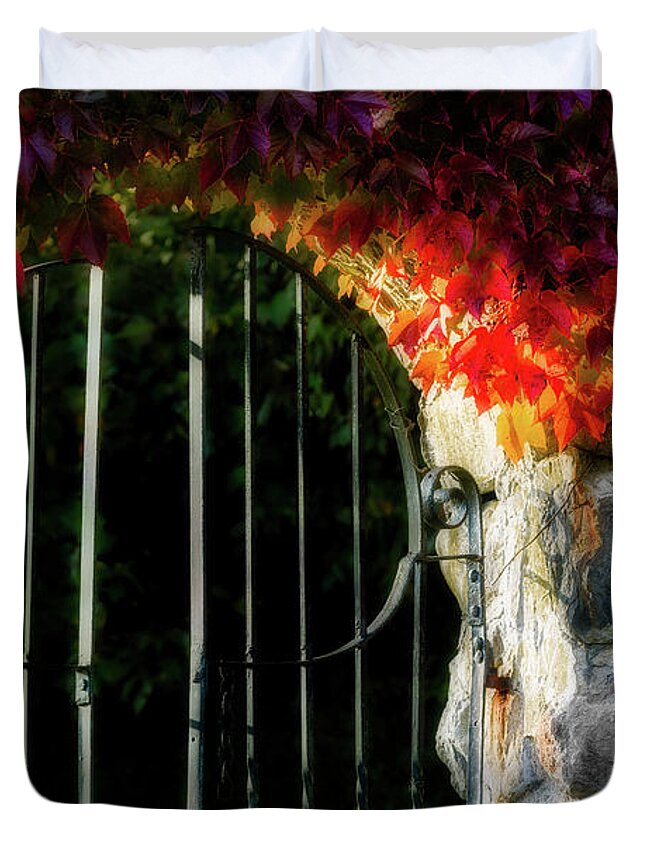 Fall Foliage Duvet Cover featuring the photograph Autumn Arch by Michael Hubley