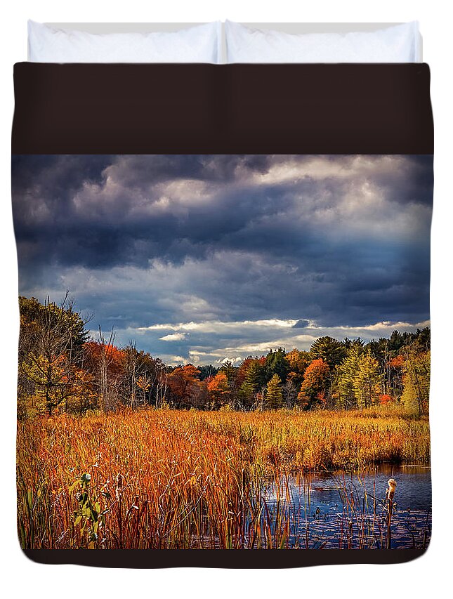 Colors Of Autumn Duvet Cover featuring the photograph Autumn beauty 7 by Lilia S
