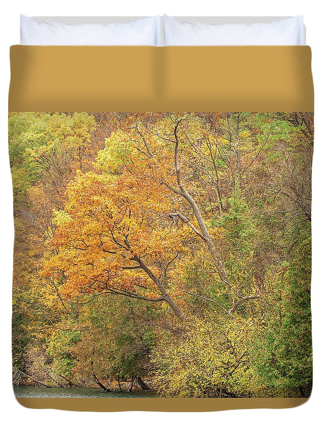 Fall Duvet Cover featuring the photograph Autumn Bouquet by Rod Best