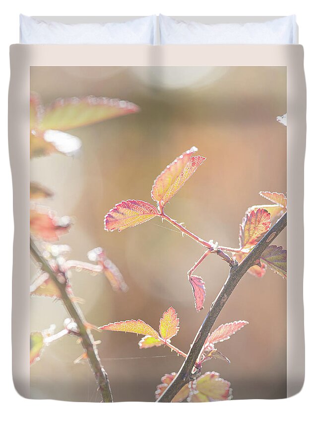 Bramble Duvet Cover featuring the photograph Autumn Bramble Leaves by Karen Rispin