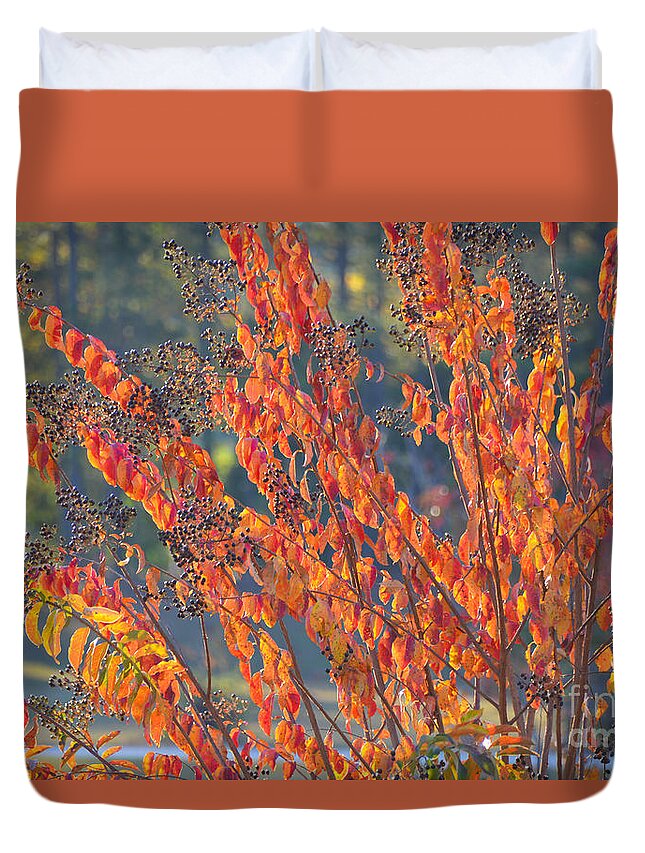 Autumn Duvet Cover featuring the photograph Autumn Colors 3 by Andrea Anderegg