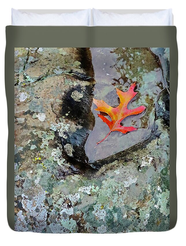 Autumn Duvet Cover featuring the photograph Autumn Colors by Sarah Lilja