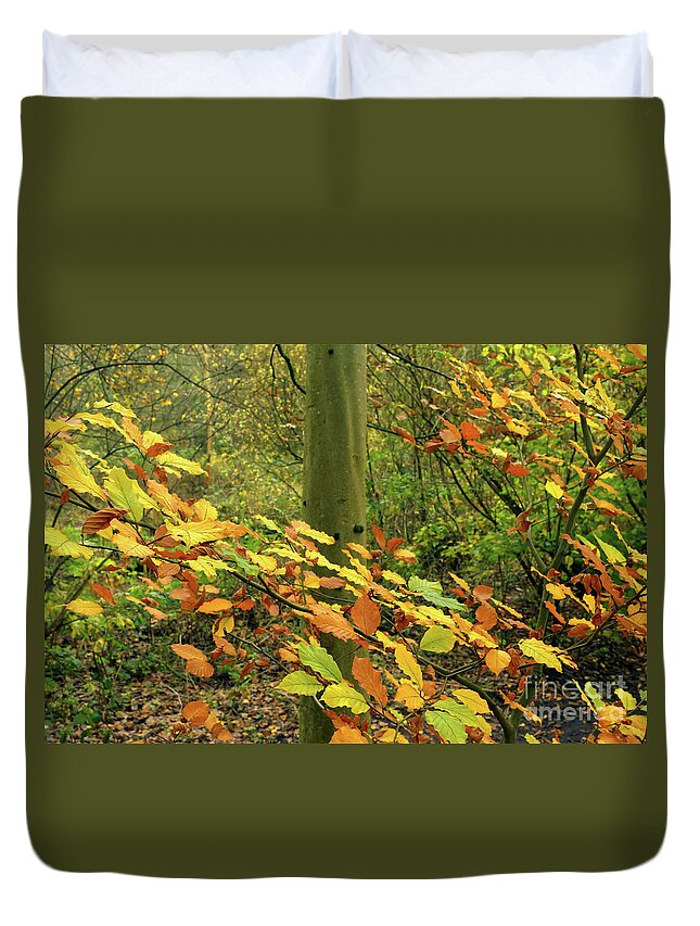 Autumn Colours Duvet Cover featuring the photograph Autumn colours, Alkington Woods 2020 by Pics By Tony