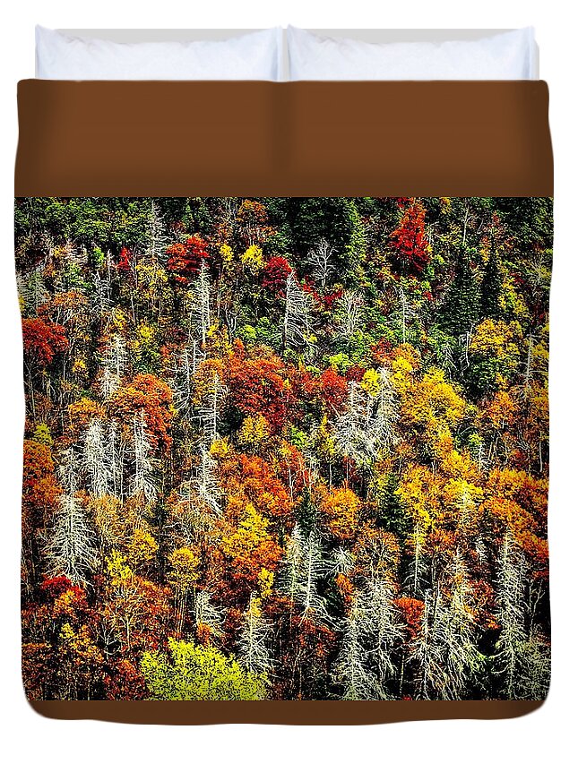 Autumn Duvet Cover featuring the photograph Autumn Diversity by Allen Nice-Webb