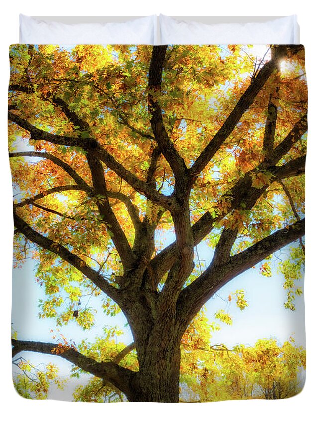 Fall Colors Duvet Cover featuring the photograph Autumn fall colors Blue Ridge Yellow Tree panorama 1112 by Dan Carmichael