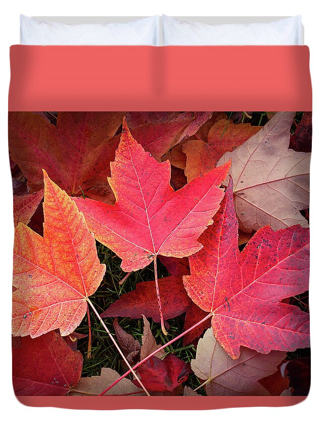 Nature Duvet Cover featuring the digital art Autumn / Fall leaves Painting by Rick Deacon