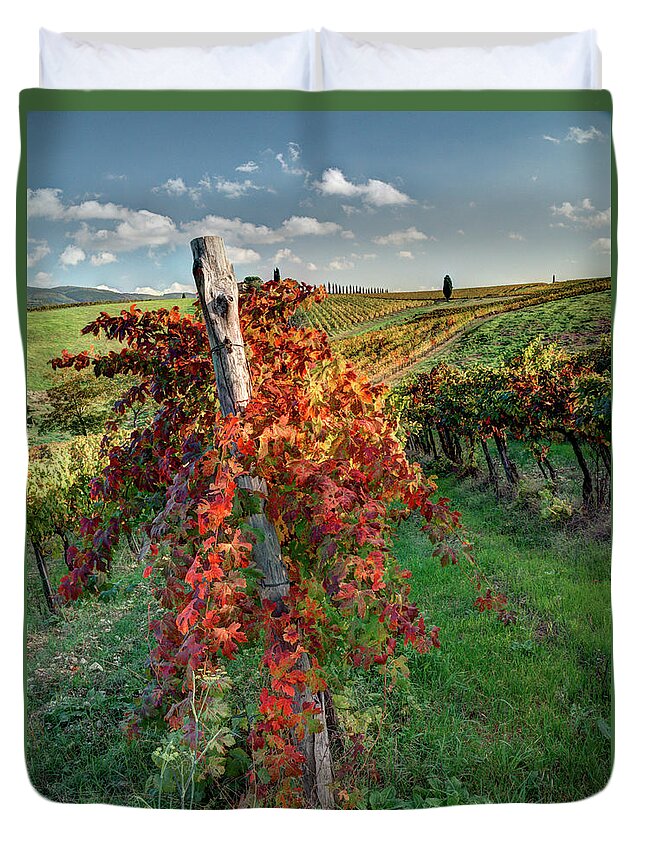 Agriculture Duvet Cover featuring the photograph Autumn in the Vineyard by Eggers Photography