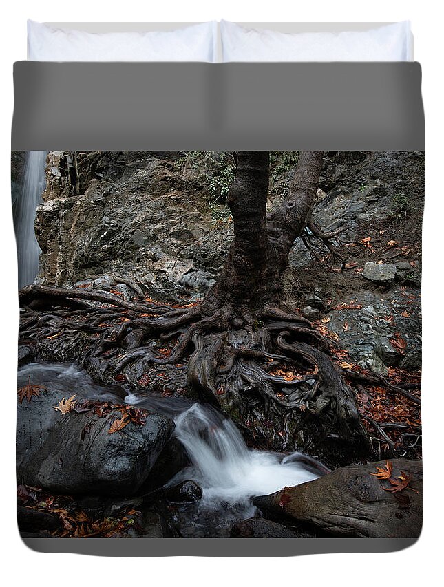 Autumn Duvet Cover featuring the photograph Autumn landscape in the river by Michalakis Ppalis