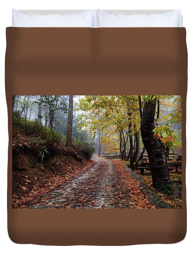 Autumn Duvet Cover featuring the photograph Autumn landscape with trees and Autumn leaves on the ground after rain by Michalakis Ppalis