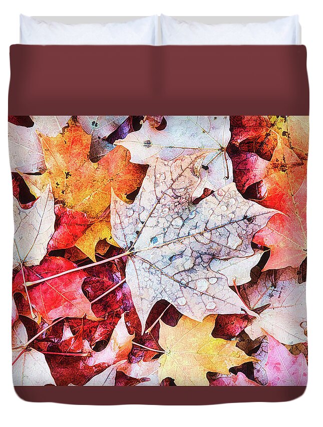 Autumn Duvet Cover featuring the photograph Autumn Leaves Abstract by Gary Slawsky